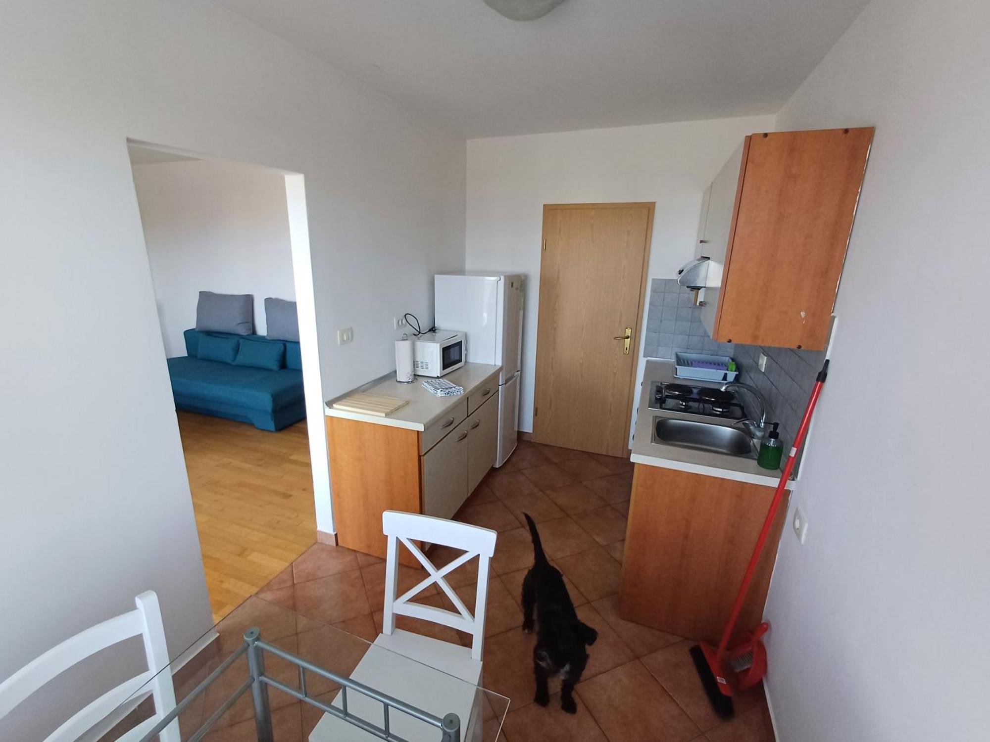 The Orange House Apartment Izola Bagian luar foto